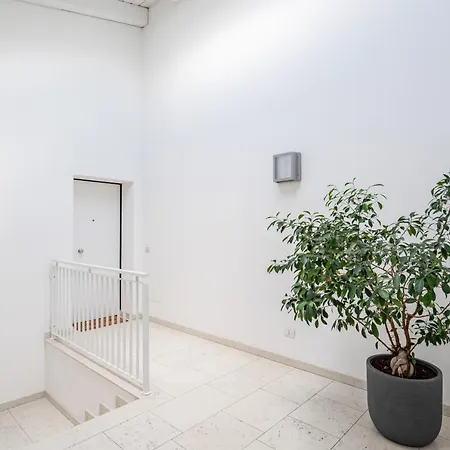 Padova Con Terrazzo X7! *